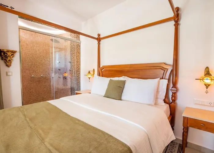 Tatil Evi La Skala Luxury Marios Frangoulis *